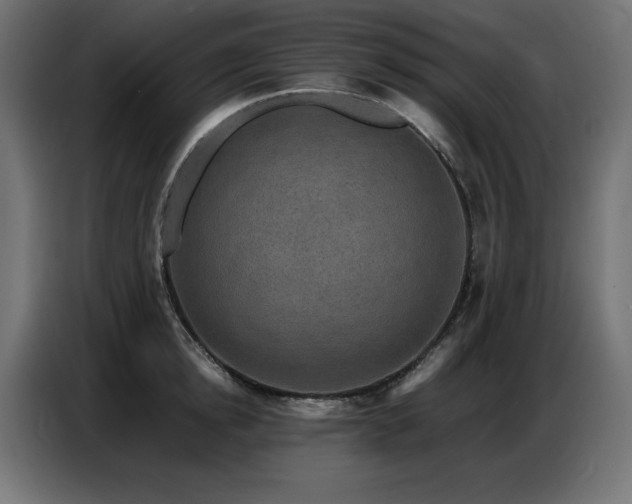 X0000086740854200704131127