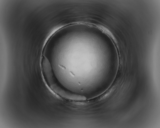 X0000086740855200704131127