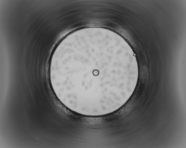 X0000086740856200704131127