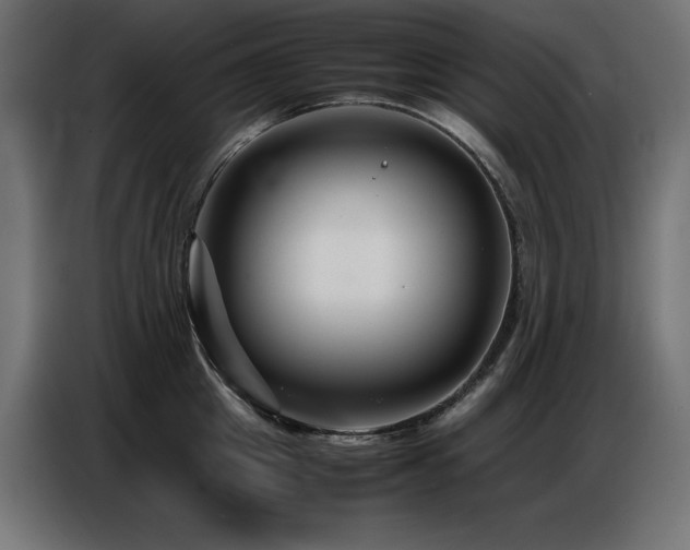X0000086740857200704131127