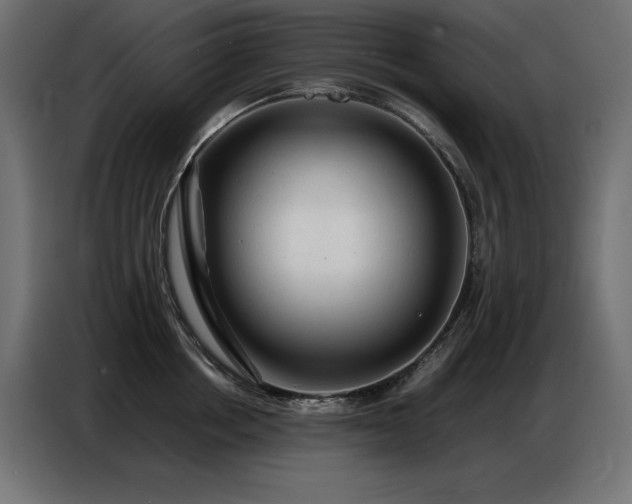 X0000086740858200704131127