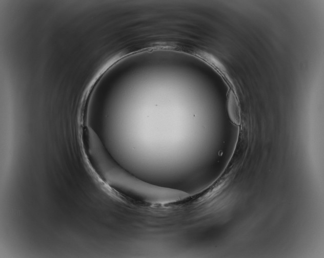 X0000086740859200704131127