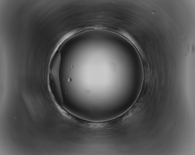 X0000086740861200704131127