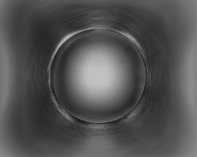 X0000086740862200704131127