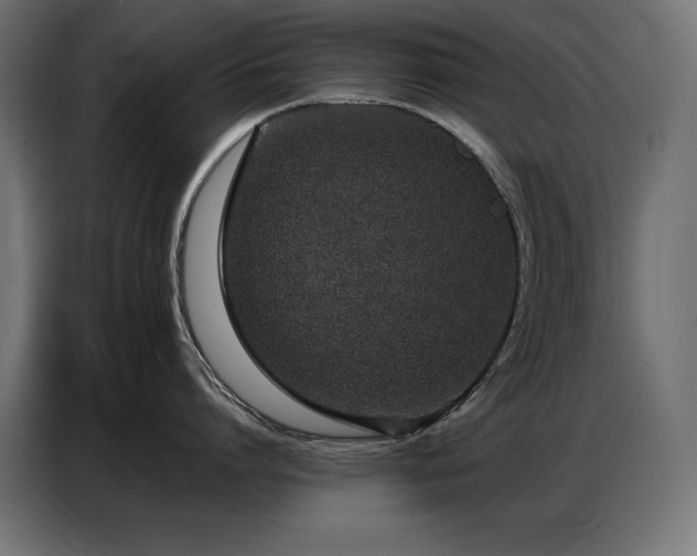 X0000086740864200704131127