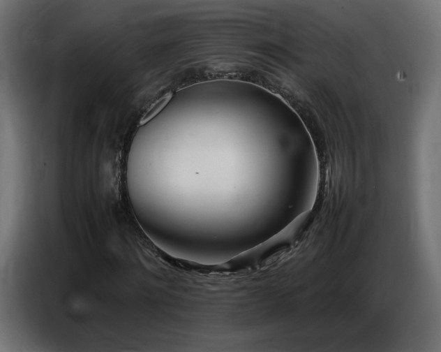 X0000086740868200704131126
