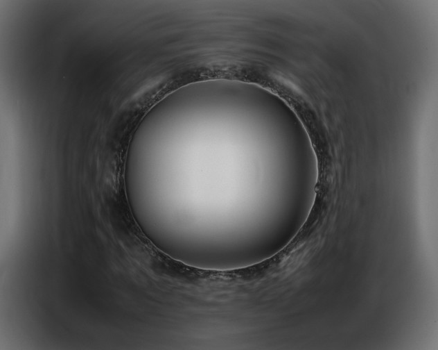 X0000086740869200704131126
