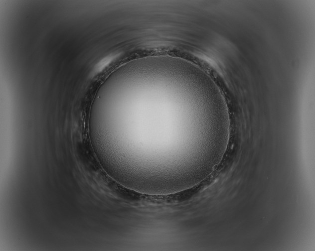 X0000086740871200704131126