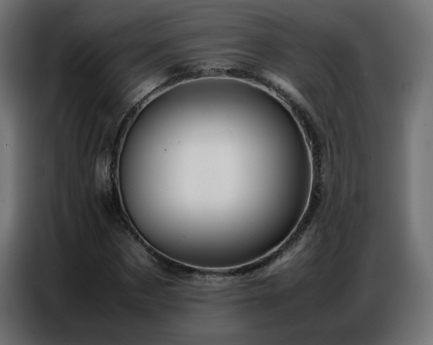 X0000086740873200704131126