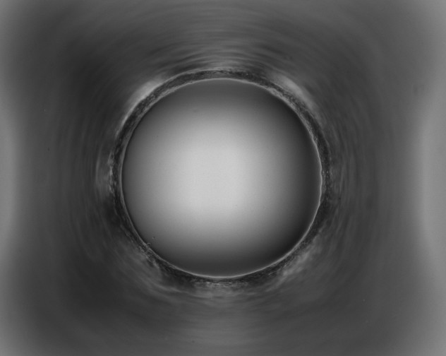 X0000086740875200704131126
