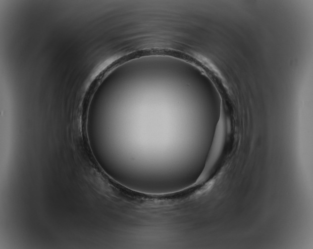X0000086740877200704131126