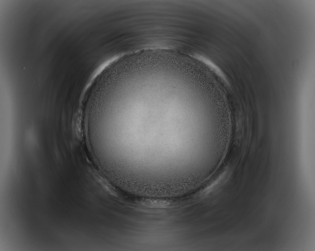 X0000086740878200704131126