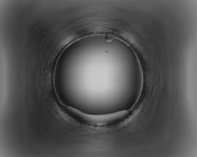 X0000086740881200704131126