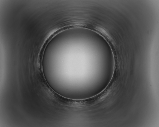 X0000086740883200704131126