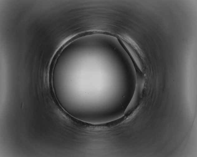 X0000086740884200704131126