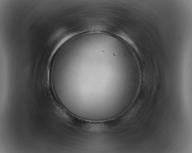 X0000086740886200704131126