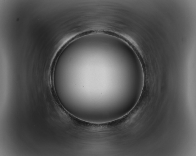 X0000086740887200704131126