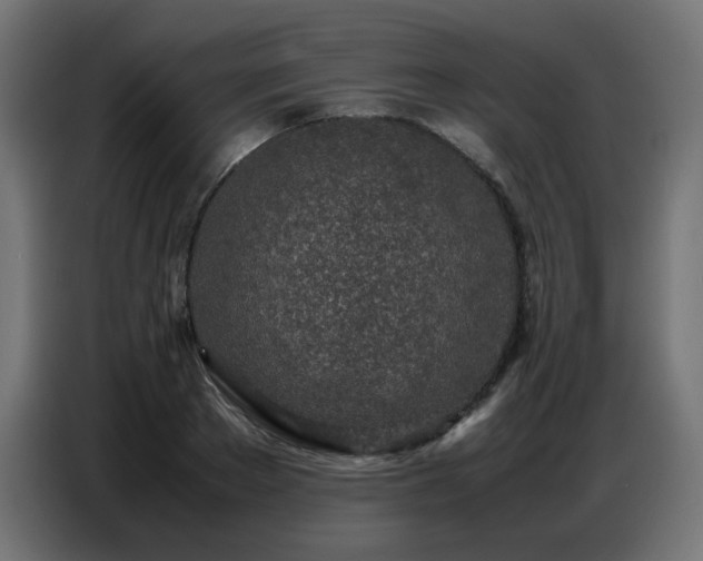 X0000086740889200704131126