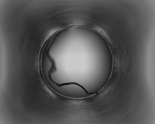 X0000086740890200704131126