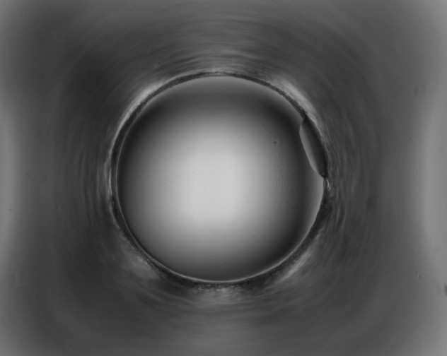 X0000086740891200704131126