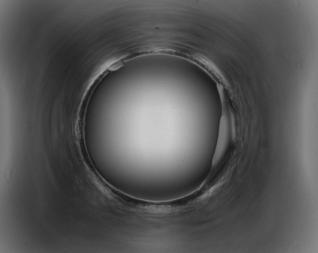 X0000086740893200704131126