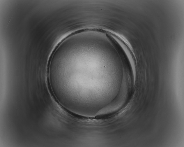 X0000086740895200704131126