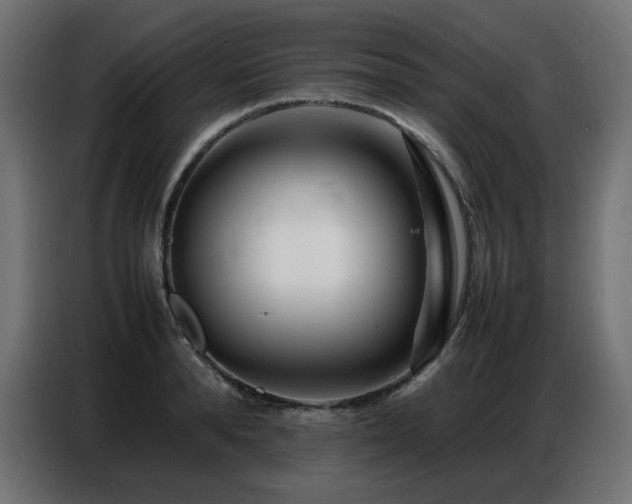 X0000086740896200704131126