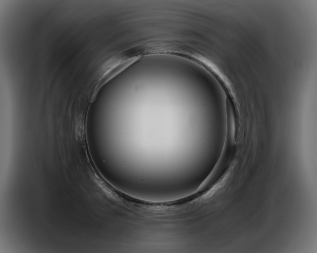 X0000086740897200704131126