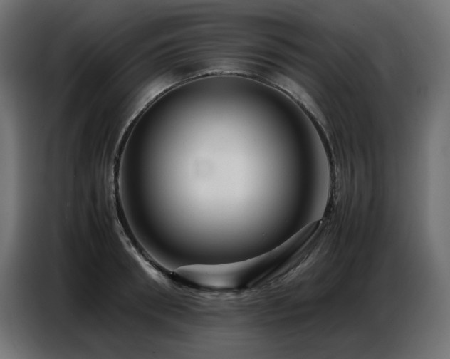 X0000086740898200704131126