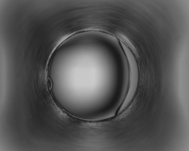 X0000086740900200704131126