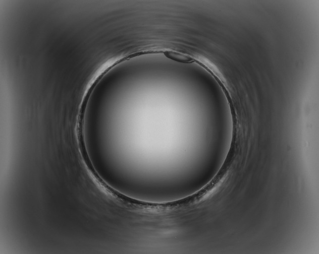 X0000086740901200704131126