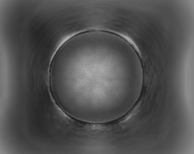 X0000086740903200704131126