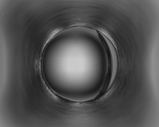 X0000086740906200704131126