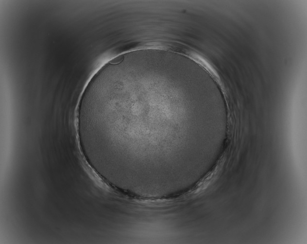 X0000086740907200704131126