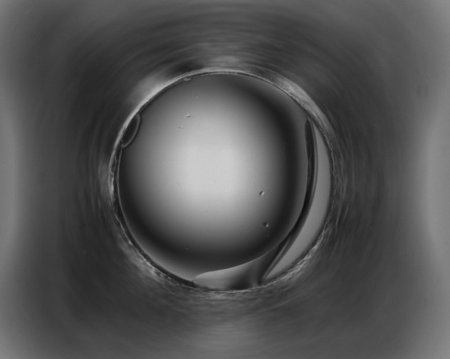 X0000086740908200704131126