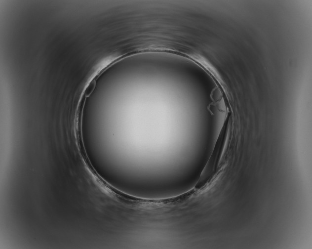 X0000086740909200704131126