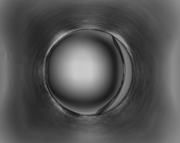 X0000086740910200704131126