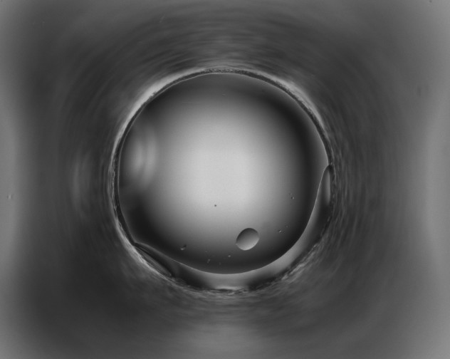 X0000086740911200704131126
