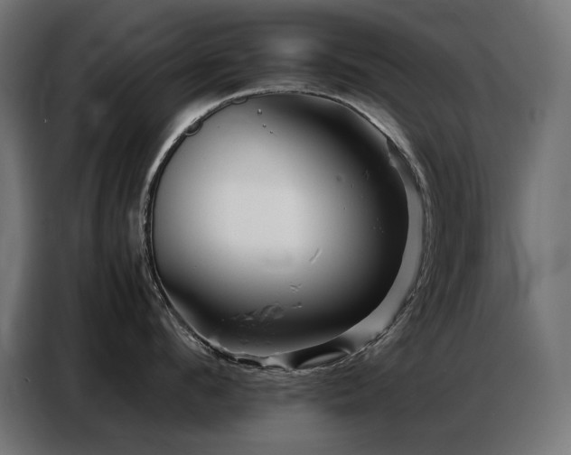 X0000086740912200704131126