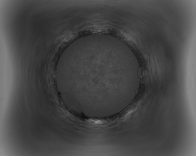 X0000086740913200704131125