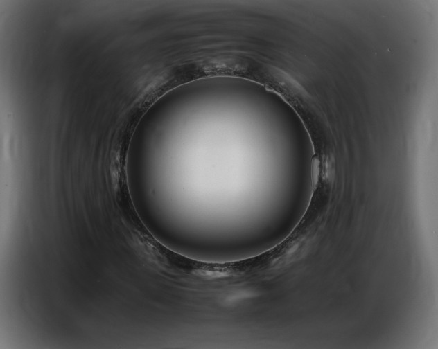 X0000086740915200704131125