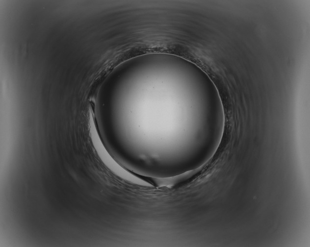 X0000086740916200704131125