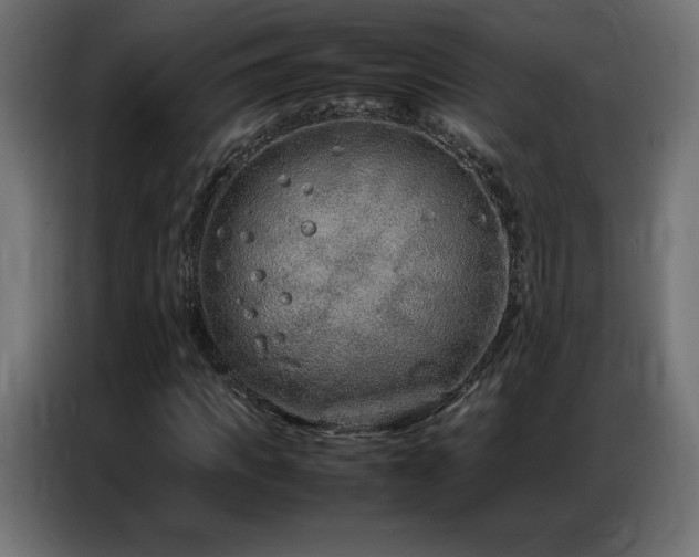 X0000086740917200704131125