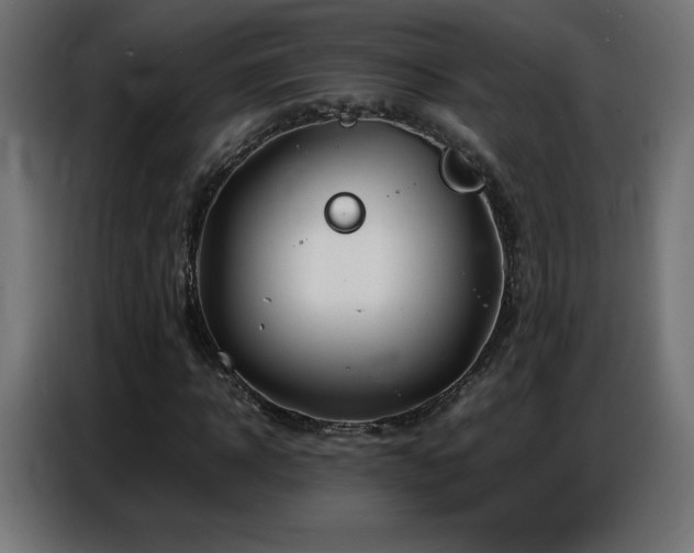 X0000086740918200704131125