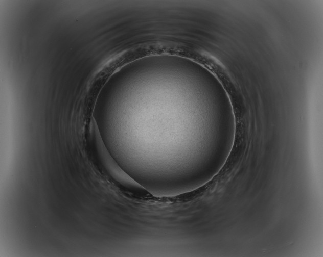 X0000086740919200704131125