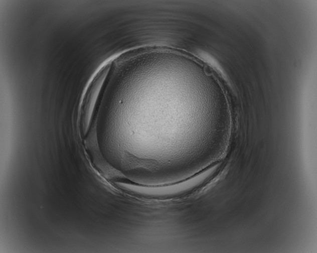 X0000086740924200704131125