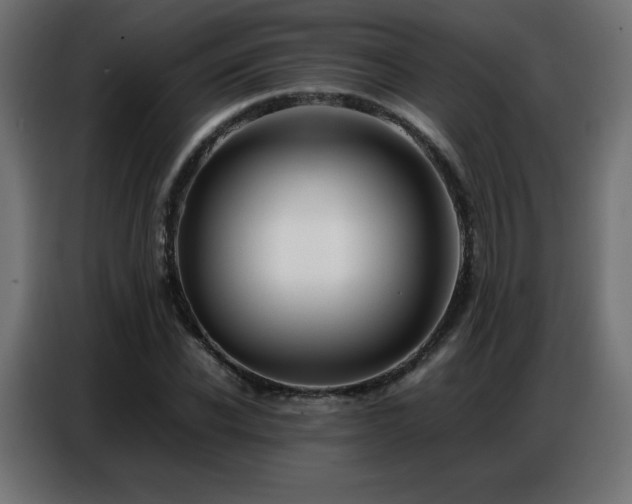 X0000086740926200704131125