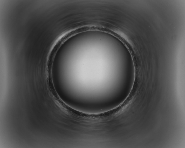 X0000086740927200704131125