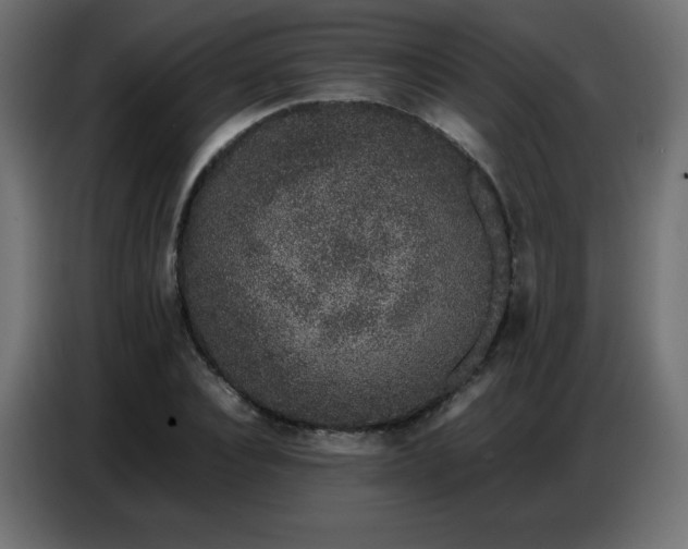 X0000086740928200704131125