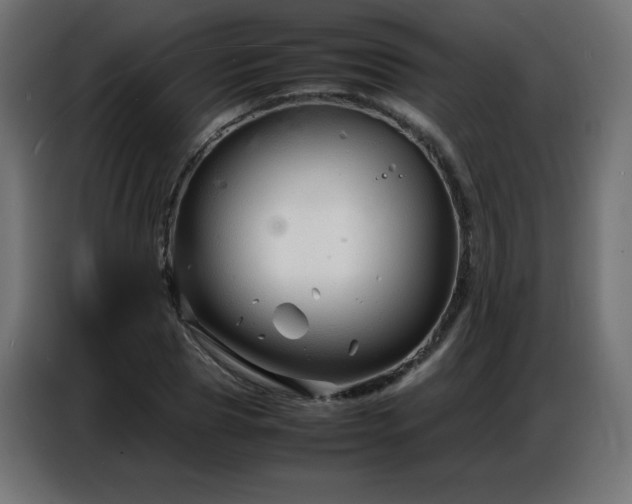 X0000086740929200704131125